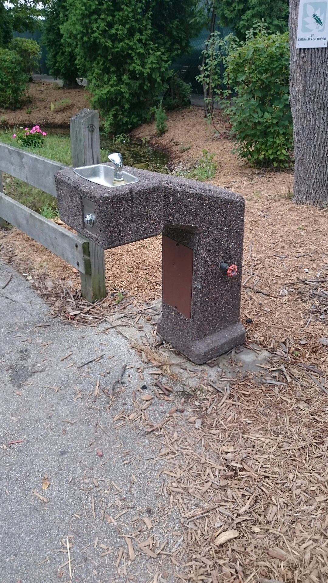 wp-1439147472202 image