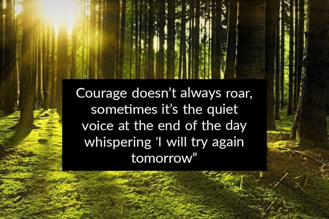 IT DOESN’T ALWAYS ROAR – SECRET 2 AN AMAZING LIFE